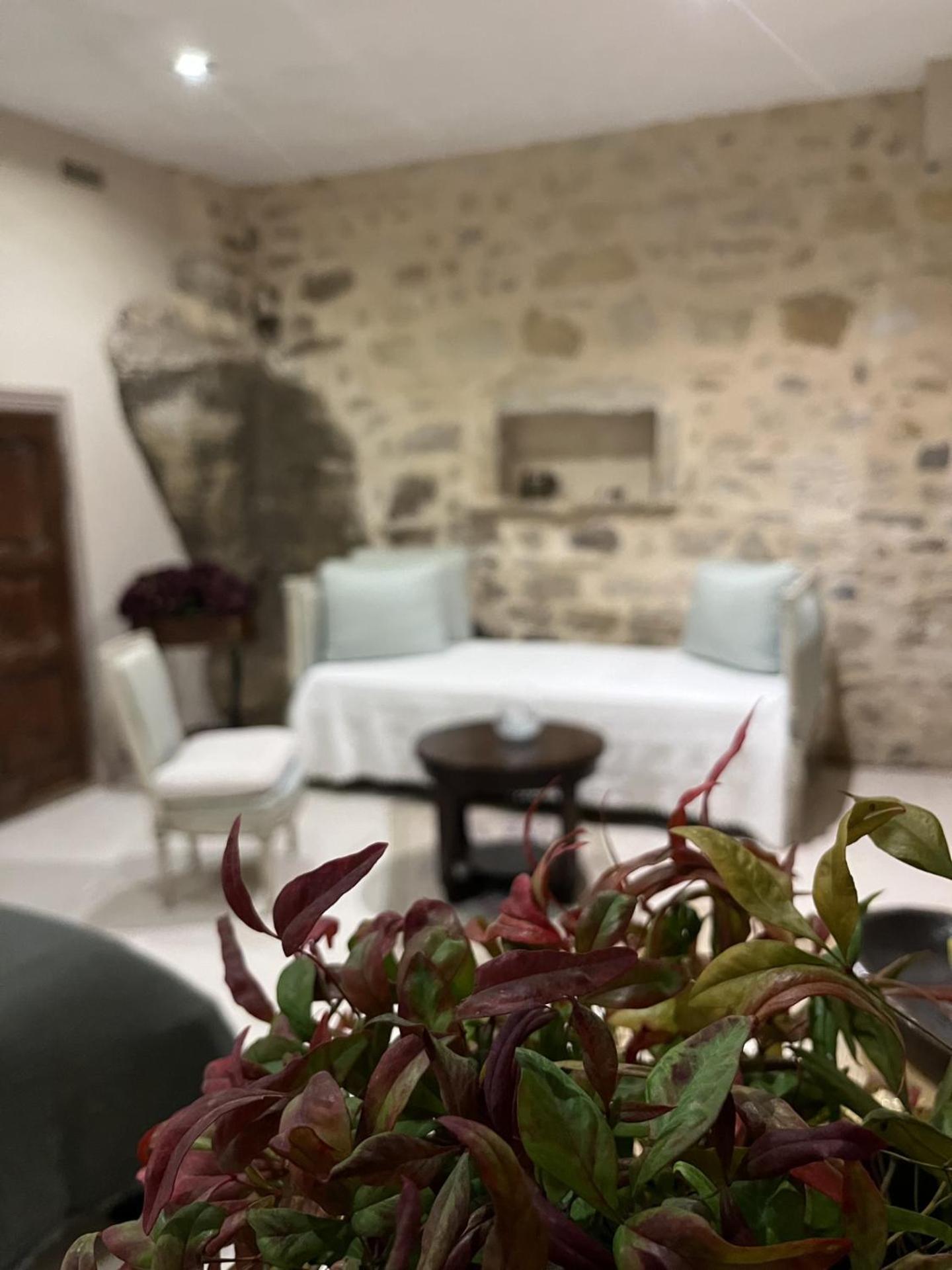 Le Logis D'Hortense Vic-le-Comte 外观 照片