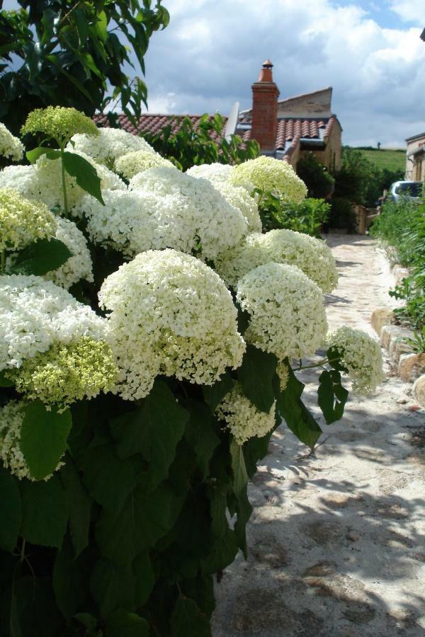 Le Logis D'Hortense Vic-le-Comte 外观 照片